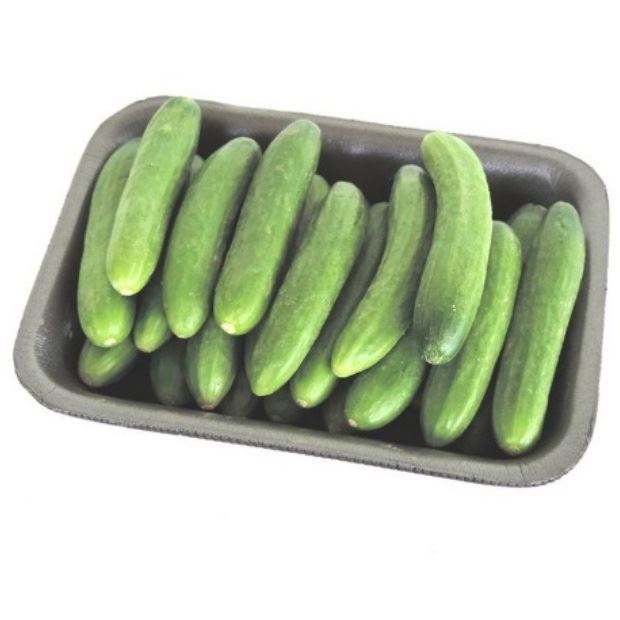 מארז מלפפונים ננסיים