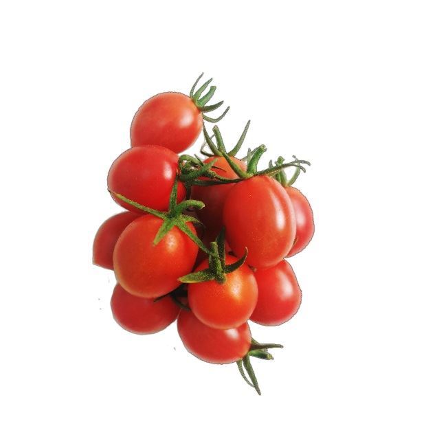 שרי פינק מרטיני