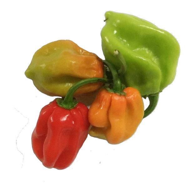 פלפל חריף הבנרו