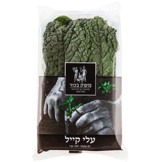 עלי קייל